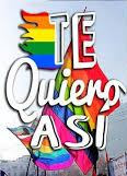 Te quiero así, 2014. Serie gay chilena post thumbnail image