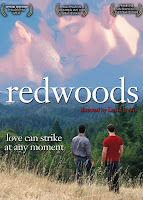 Redwoods, 2009 post thumbnail image